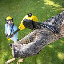 Best Sod Installation  in Hanover Park, IL