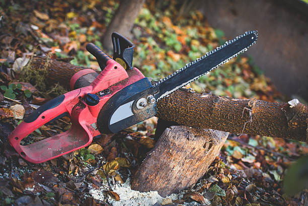 Best Lawn Renovation and Restoration  in Hanover Park, IL